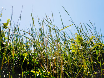 Similar image 2876692