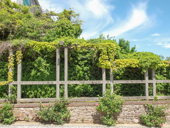 Similar image 2876807