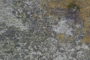 Similar image 2876842