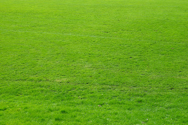 Similar image 2876843