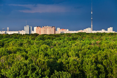 Similar image 2876967