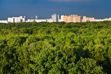 Similar image 2876969