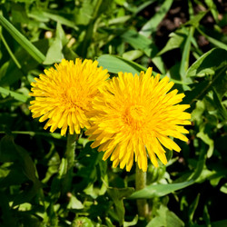 Similar image 2876971