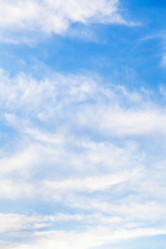 Similar image 2876972