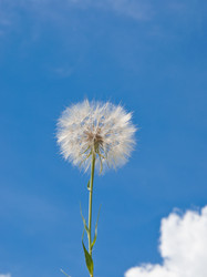 Similar image 2877064