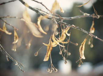 Similar image 2877068