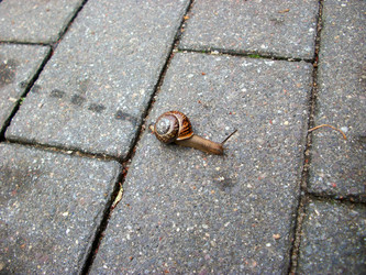 Similar image 2877074