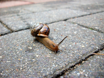 Similar image 2877075