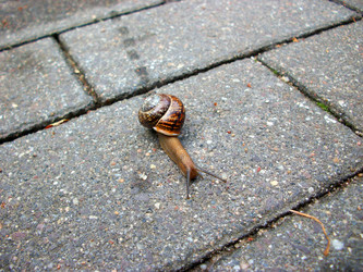 Similar image 2877076