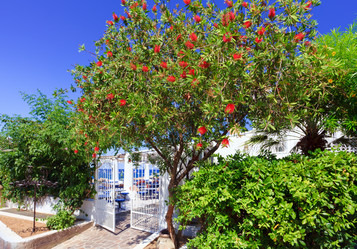 Similar image 2877109