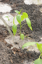 Similar image 2877171