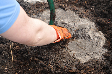 Similar image 2877174