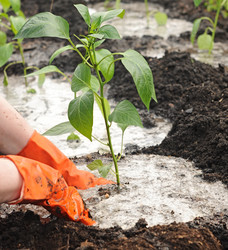 Similar image 2877176