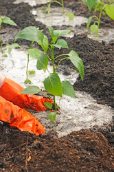 Similar image 2877177