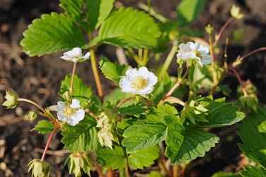 Similar image 2877205