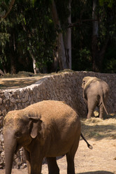 Similar image 2877224