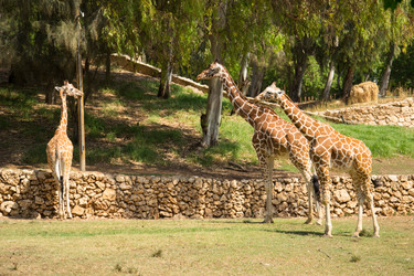 Similar image 2877225