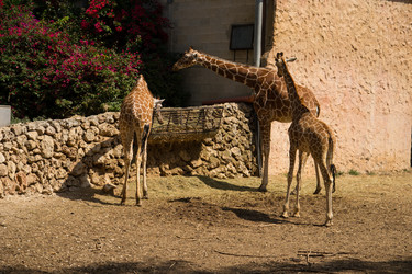 Similar image 2877230