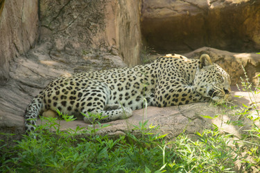 Similar image 2877231