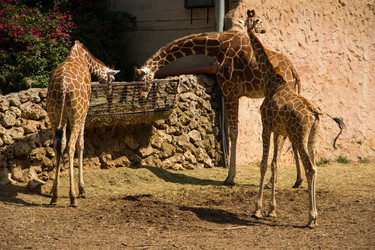 Similar image 2877232