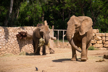 Similar image 2877234