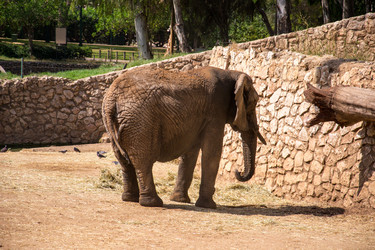 Similar image 2877239