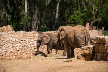 Similar image 2877242