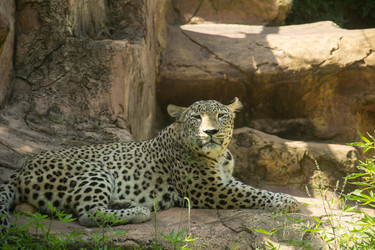 Similar image 2877244