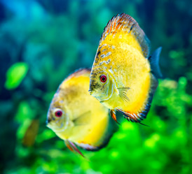 Similar image 2877254