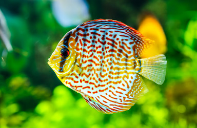 Similar image 2877257