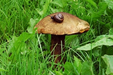 Similar image 2877345