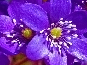 Similar image 2877346