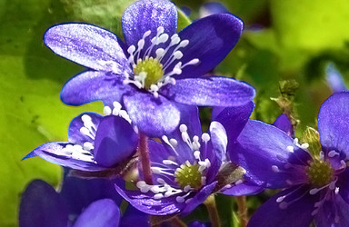 Similar image 2877347