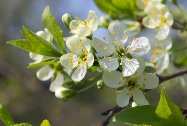 Similar image 2877348