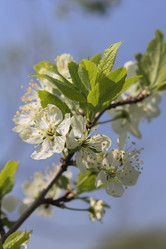 Similar image 2877349