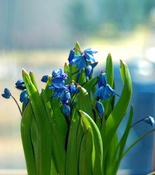 Similar image 2877376