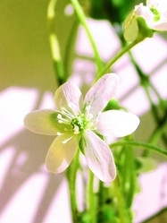 Similar image 2877377