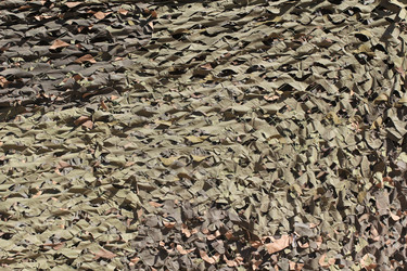 Similar image 2877392