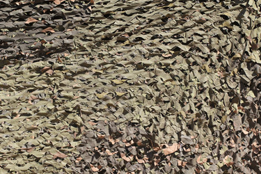 Similar image 2877393