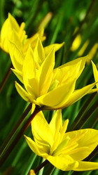 Similar image 2877405