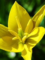 Similar image 2877406