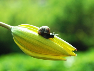 Similar image 2877407