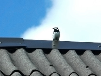 Similar image 2877429