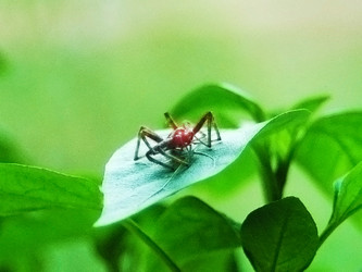 Similar image 2877430