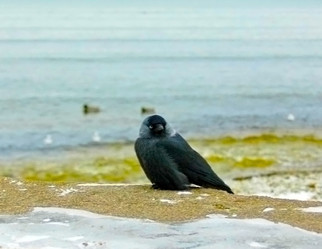 Similar image 2877433