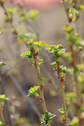 Similar image 2877479