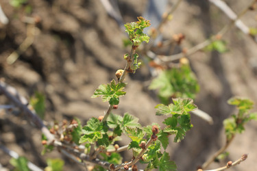 Similar image 2877480