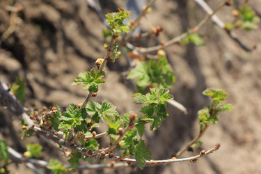 Similar image 2877481