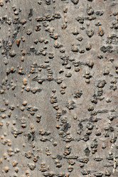 Similar image 2877482