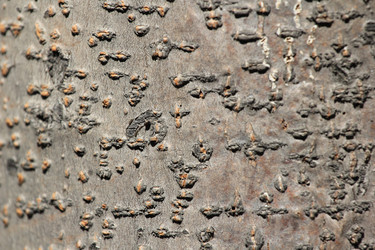 Similar image 2877483